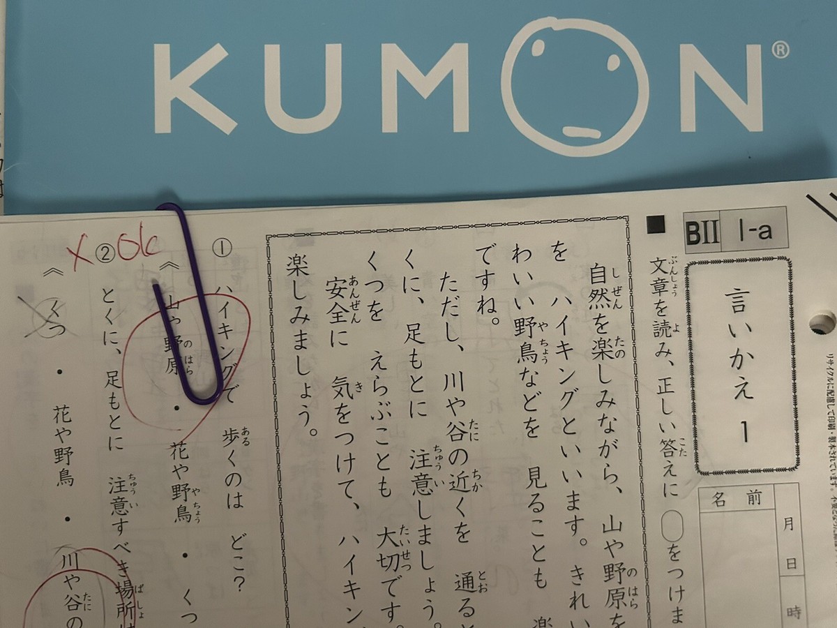 kumonページガンガゼ300 6G – Gasen Paper 9 1/2″ x 10 3/4″ – 20 Sheets – Yasutomo