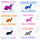 Otter Aberrant Fully Grown [ Level 362] Ark Ascended Pve Official PC/XBOX/PS5