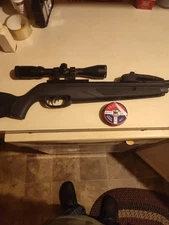 Gamo Swarm Whisper .22 Cal with bushnell 3x9x40 plus ammo