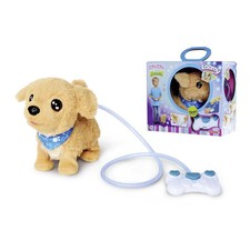 ChiChi Love Loomy, Golden Retriever