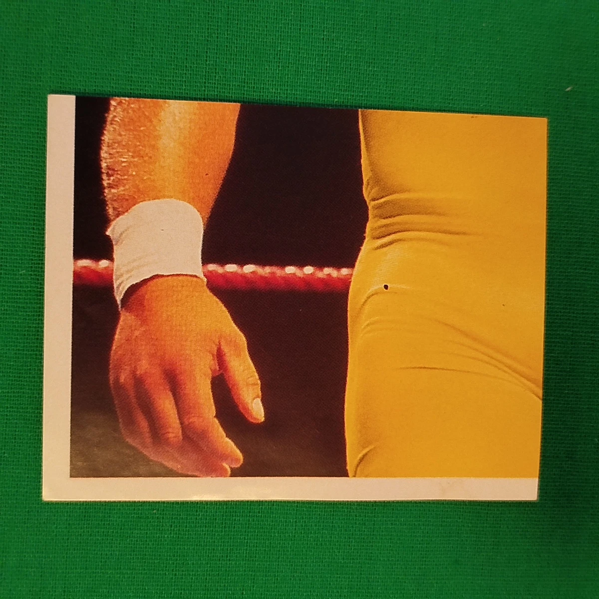 Wrestling 1991 Season Collectable Sports Sports Stickers for sale