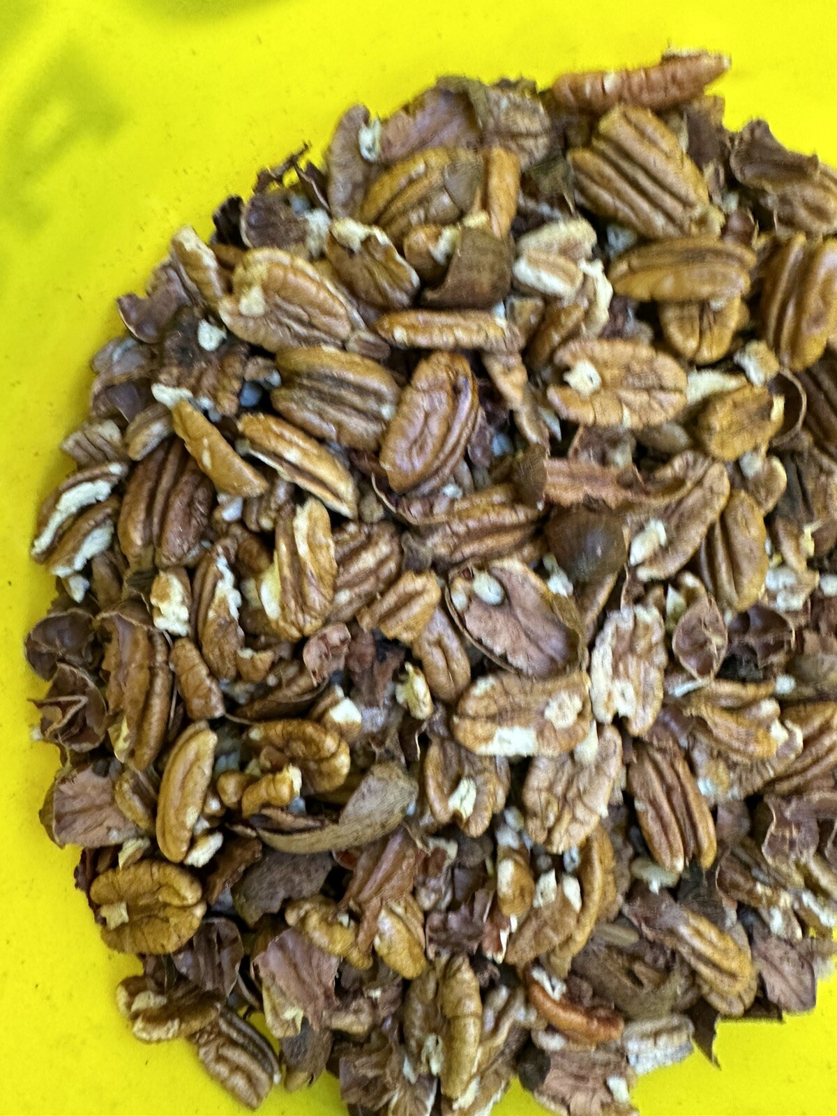 3 Pds PECANS Halves eBay