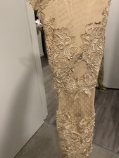 New Champagne Mesh Dress