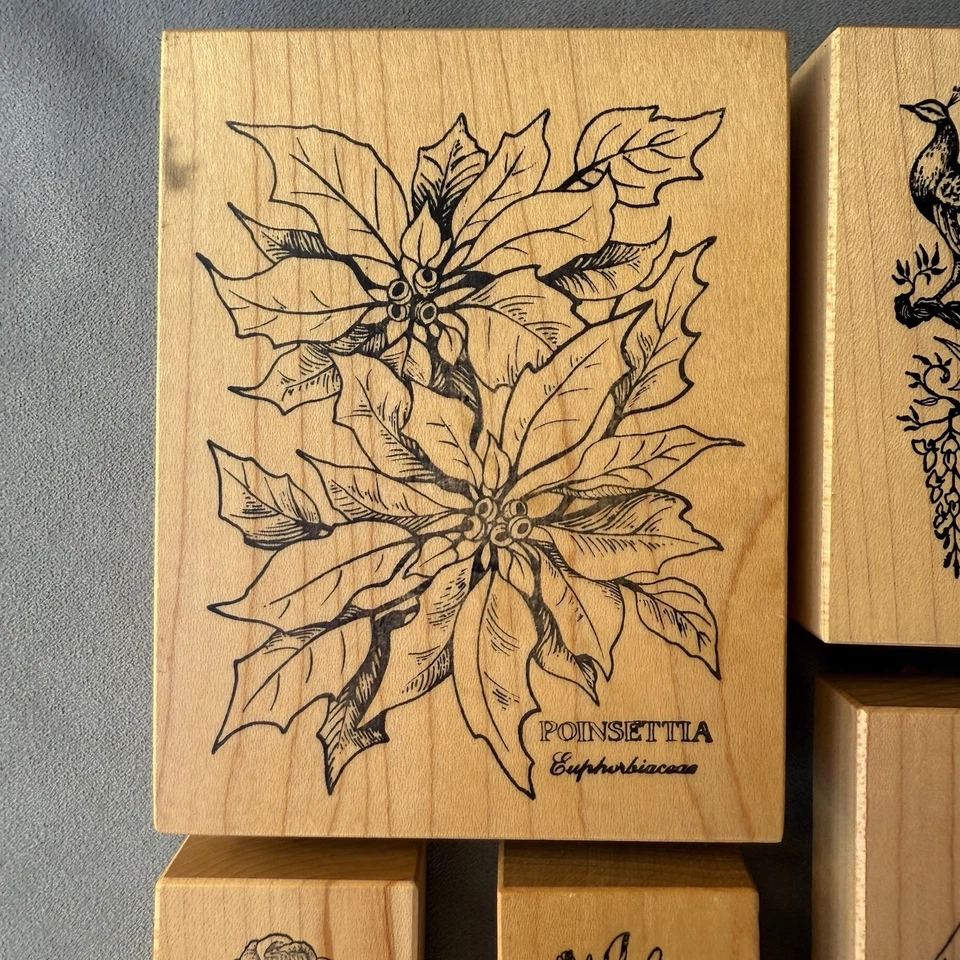 LOTE DE 15! Estampillas de goma legendarias vintage 1988 PSX Petaluma en madera nuevas Foto 2 de 4