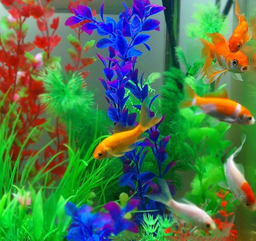 10 PCS Artificial Plastic Green Water Grass Plants Aquarium Fish Tank Decor Set - Imagen 15 de 30