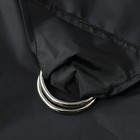 Bild 6 von 8