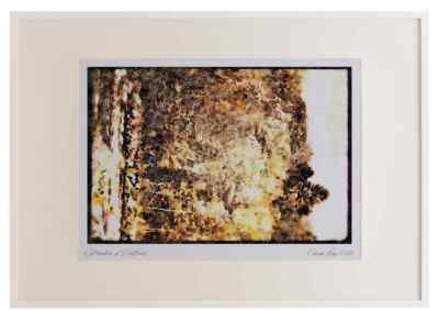 199021 Autumn Foliage Near Rouge River Quebec A3 Picture Frame Watercolour prin