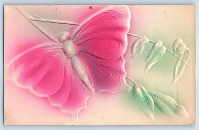 c1910's Big Butterfly On The Leaf Airbrushed Embossed Antique Posted Postcard