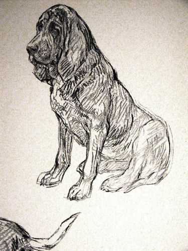 Barker Blood Hound nariz a tierra 1938 arte para perro mate - Imagen 3 de 4