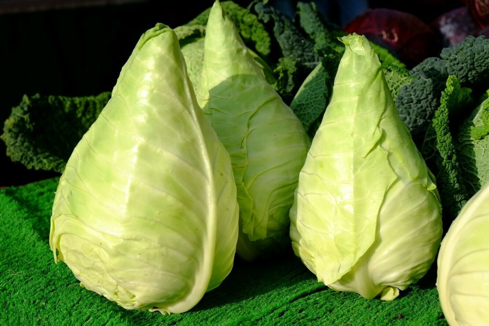 Spitzkohl lecker, frisch, als Salat oder im Eintopf 2,69 €/Stück