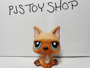 Littlest Pet Shop Lps Tan French Bulldog 1847 Authentic W Free Gift Ebay