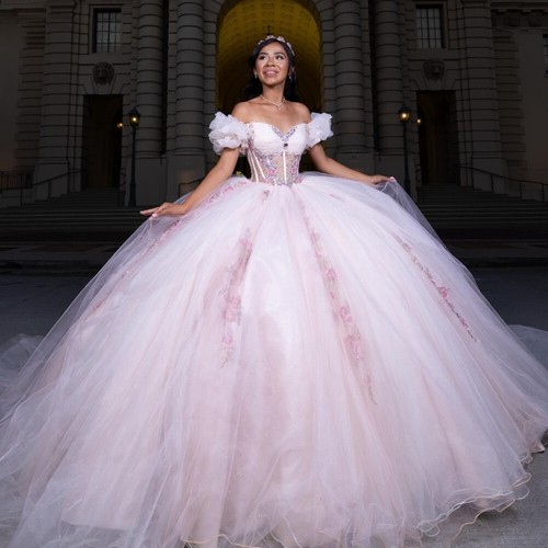 Shiny Pink Quinceanera Dress Ball Gown Floral Applique Crystal Corset Sweet 16 - 第 1/10 張圖片
