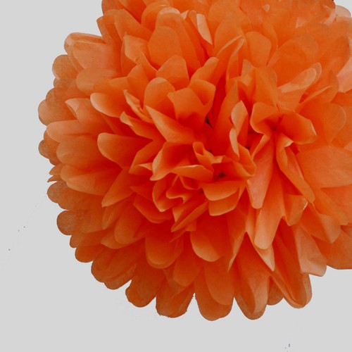 Tissue Paper Fans Pom Poms Honeycomb Ball Wedding Party Baby Living Room Decor - Picture 15 of 66