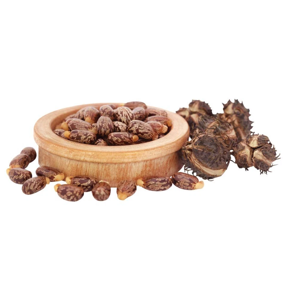 CASTOR OIL | 1 Litre, 2L, 5L, 10L, PREMIUM COLD PRESSED | HEXANE FREE - image 2 of 3