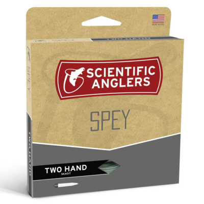 Scientific Anglers Skagit Head
