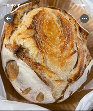 236yrs Old Verified Authentic Heritage San Francisco Sourdough Starter