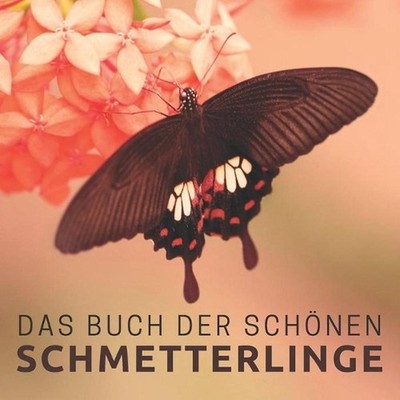Das Buch der schnen Schmetterlinge: Bildband f?r Senioren und Demenzkranke by Pr