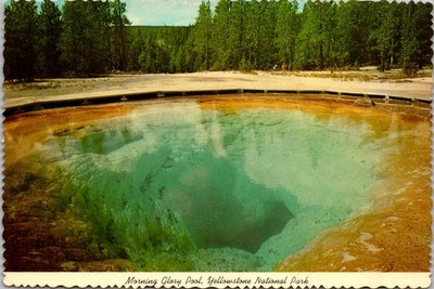 Yellowstone Wyoming Morning Glory Pool Thermal Spring Continental Postcard A670