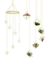 6 Pcs Hanging Air Plant Holder, Gold Tillandsia Air Plant Holders Unique, Air...