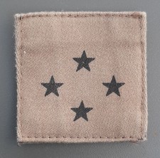 Grade Scratch Général de Corps d'Armée basse visibilité Uniforme France ORIGINAL