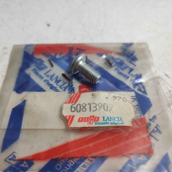 Originale Vite FüR Fiat Panda Lancia Ypsilon 60813909 OE 60508474-image