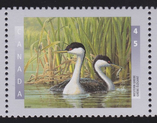 Canada 1997 #1634a Birds of Canada –2 se-tenant strip of 4 - MNH - Picture 3 of 5
