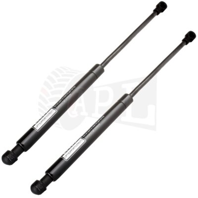Findauto Set of 2 Window Glass Lift Supports Shocks Fits 2003-2009 Kia Sorento