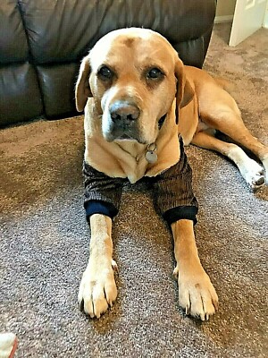 hygroma pads for dogs