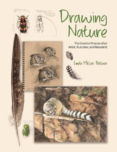 Linda Miller Feltner Drawing Nature (Hardback)