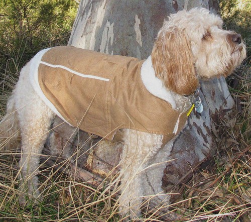 Dog coat faux suede tan with fleece lining, 25cm small - 45cm xxlarge dogs NEW - Picture 2 of 4