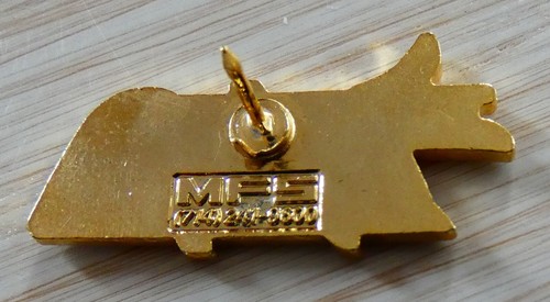 SCHÖNE PINS USA INDY CAR HELM PILOT DONNY THOMPSON MFS GOLDBODEN - Bild 2 von 2