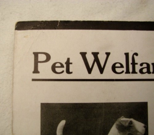 Terrier de pelo de alambre publicidad Beetall perro dieta cartón tienda años 30-50 - Imagen 2 de 4