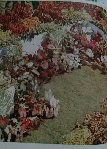 Vintage GARDENS IN COLOR BY RICHARD PRATT 1944 With Color Photo Used - Picture 5 of 8