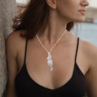 Foto 12 di 12