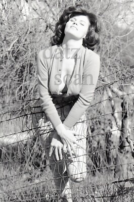 1960s Ron Vogel Negative-sexy pinup girl Marge Martinsen-cheesecake v304602