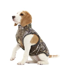 track and tail dog jacket