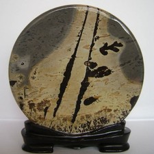 Bonsai Suiseki-Natural Guohua Stone-Rare Rock with Beautiful Pattern,Nice 191#