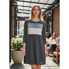 Calvin Klein Womens Gray Metallic Colorblock Lurex Fit & Flare Knit Dress L Chic