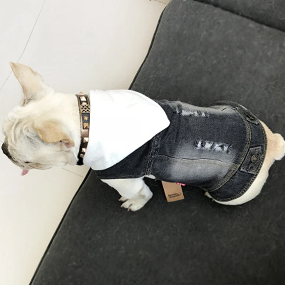 Jeans, chaqueta vaquera para perro, mascotas pequeñas, ropa de lujo para perros Foto 2 de 3