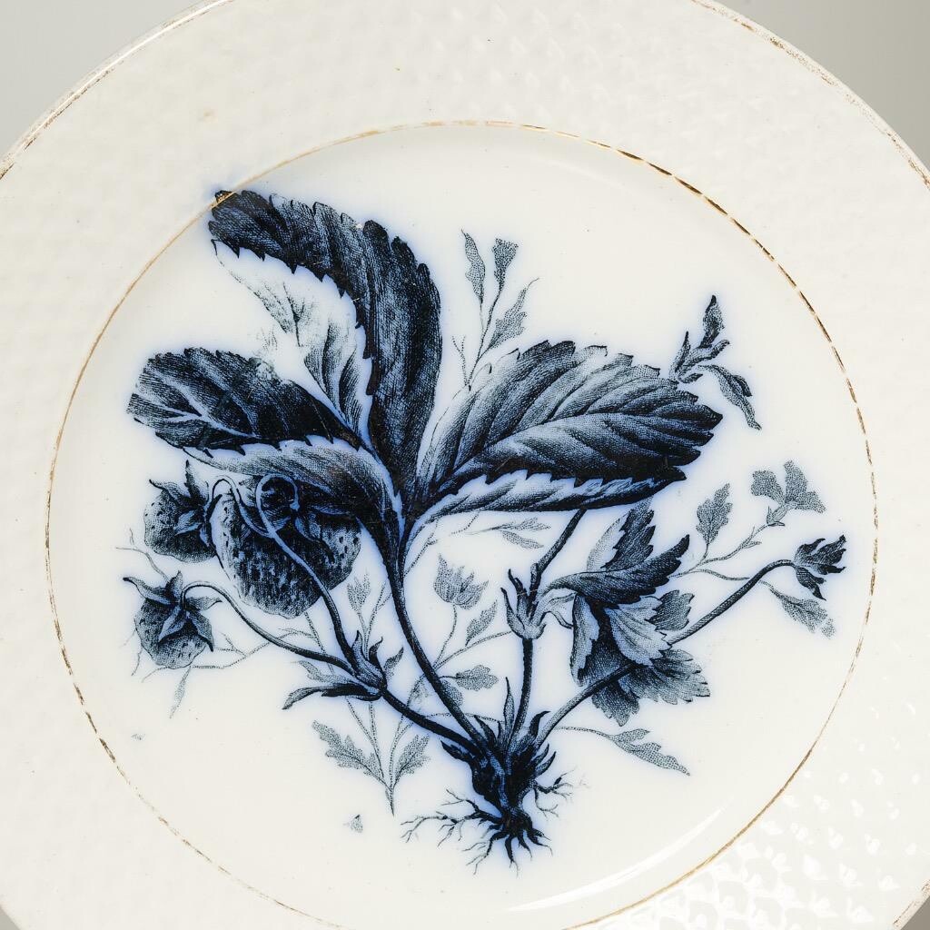 Set 5 Petrus Regout Maastricht Dutch Flow Blue Fruit Plates 7.5