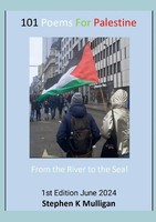 From The River To The Sea From The River To The Sea! Stephen Mulligan Buch 2024