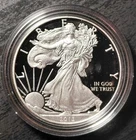 2013-W 1 oz Proof - Silver American Eagle /Liberty - w/ COA & OGP -