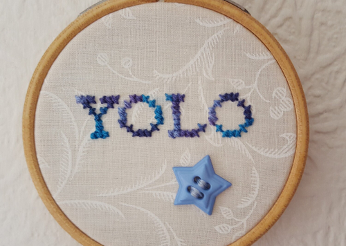 YOLO Embroidery. 3 inch Hoop Art. Cross stitch Quote. Small Gift - Picture 3 of 4