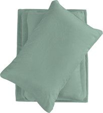 Sage Green Micro Fleece Queen Bed Sheet Set - 4-Piece Plush Bedding