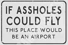 If A$$holes Could Fly This Place Airport Funny Sign 8" x 12" Aluminum Metal Sign