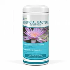 Aquascape 98949 Beneficial Bacteria Concentrate for Pond and Water Features, 