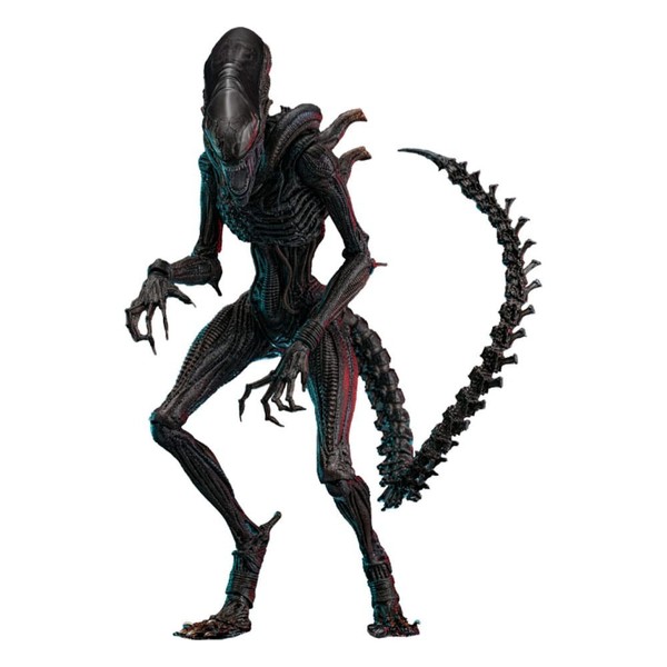 Hot Toys Sideshow Alien Romulus Action Figure 1/6 Scorched Xenomorph MMS784-image
