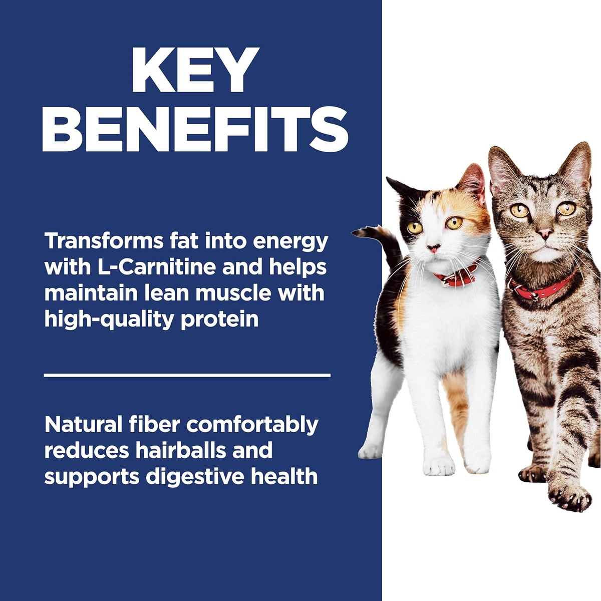 Hill'S Science Diet Adult 1-6 Multiple Benefit Dry Cat Food, Chicken, 7 Lb. Bag