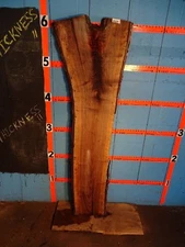 #A229    1 11/16" THICK  black walnut live edge slab table shelf bench 