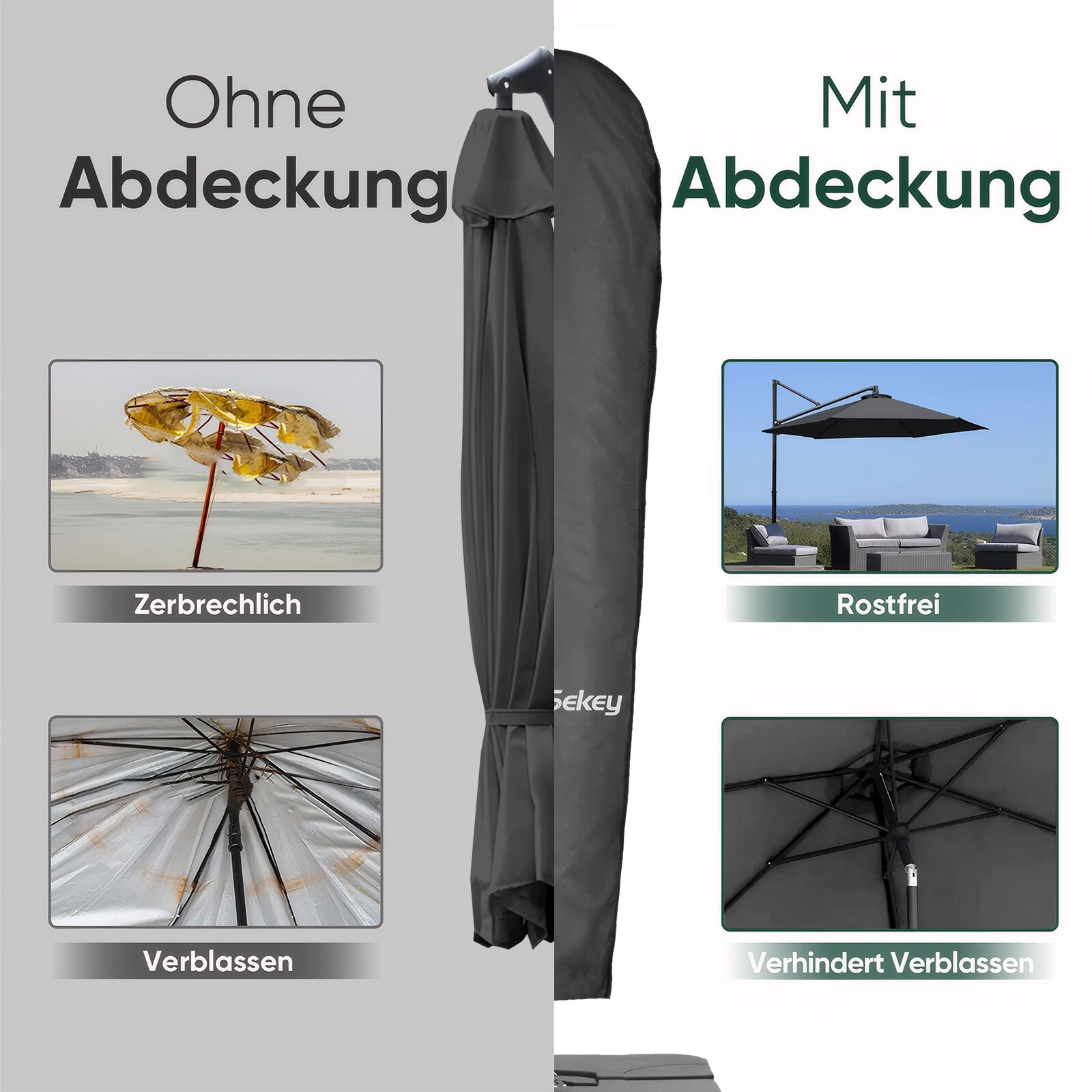 Bild 18 von 42